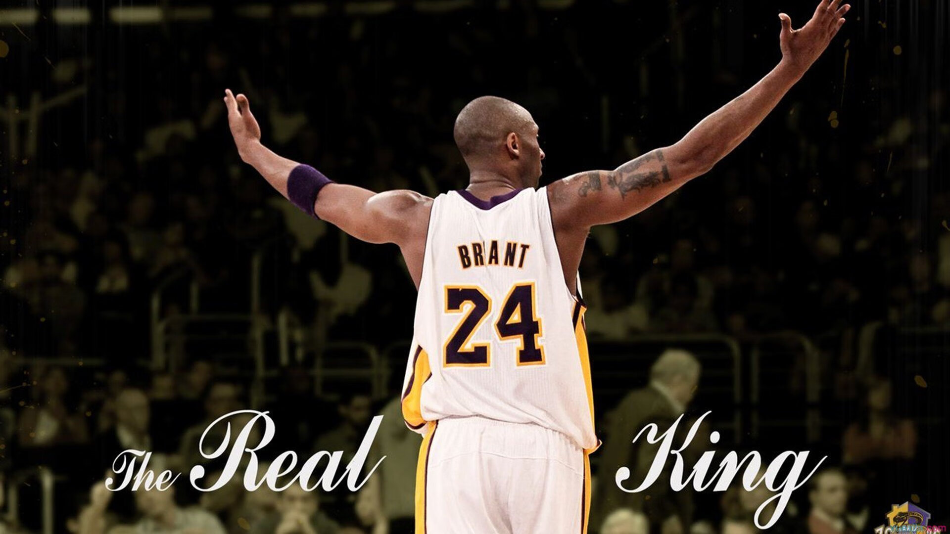 巴特尔通过不懈努力，帮助袋鼠队打破对方攻势，锁定胜局，篮球 巴特尔